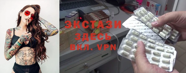 индика Осинники