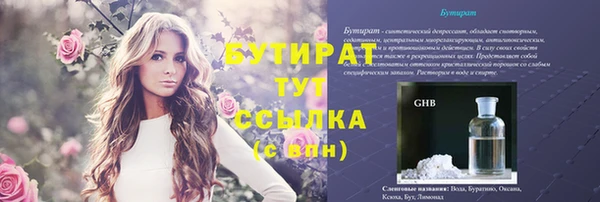 индика Осинники