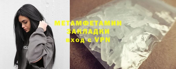 индика Осинники