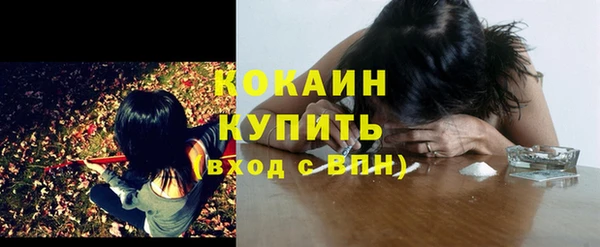 индика Осинники