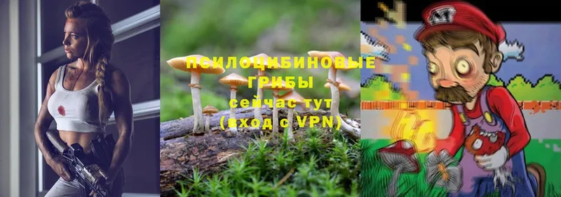 Псилоцибиновые грибы MAGIC MUSHROOMS  хочу   Клинцы 