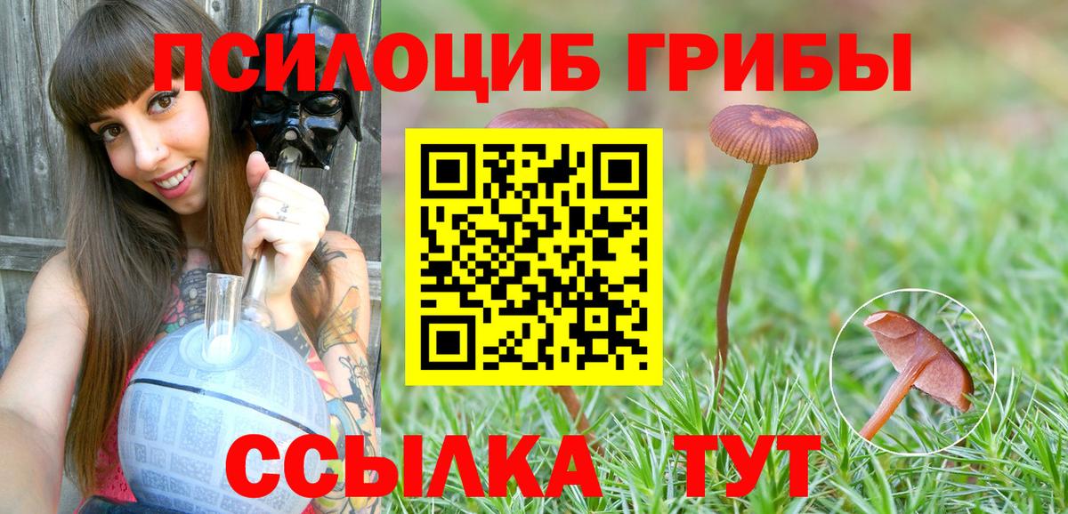 Псилоцибиновые грибы GOLDEN TEACHER  Вход с VPN  Клинцы 